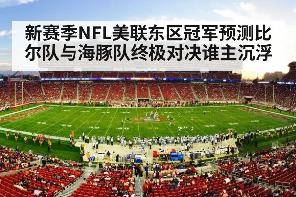 NFL football stadium action
